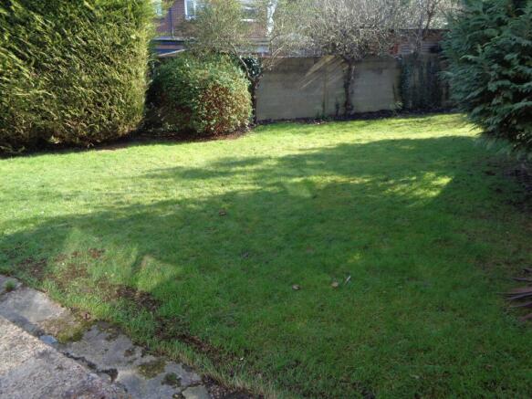 Photo 15