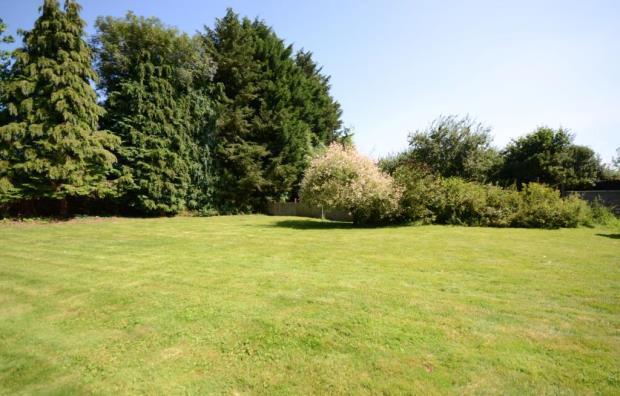 Garden 2