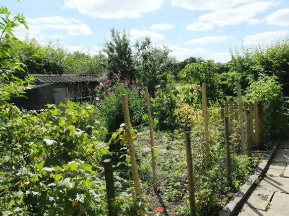 Garden.