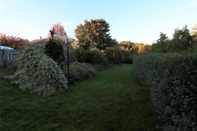 Garden Pic 1
