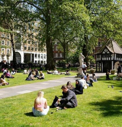 Photo 5 (High Quality)