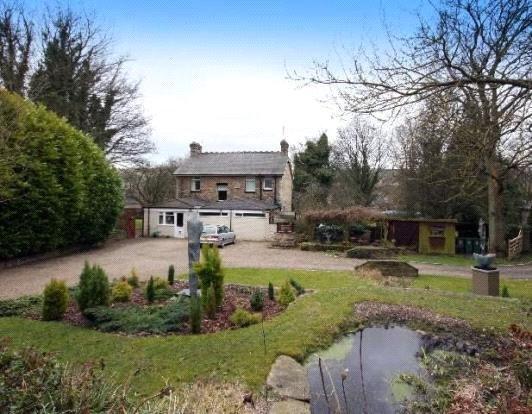 Rear With Pond