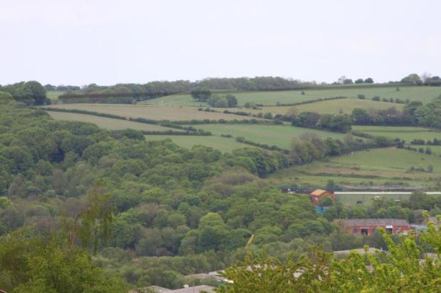 View Three
