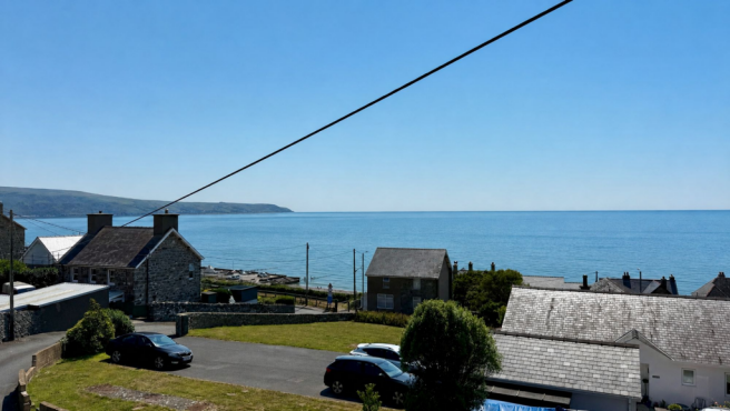 view