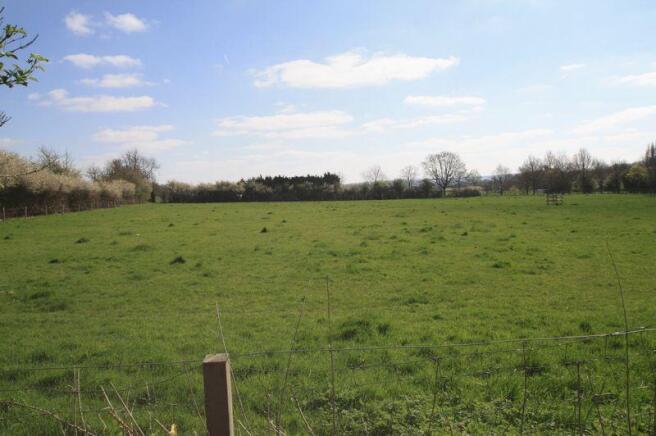 Field Views