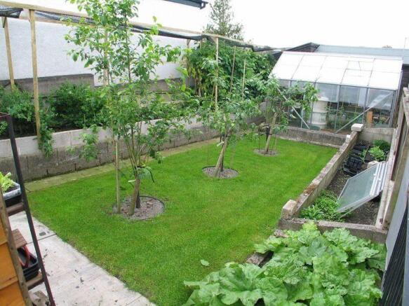 Vegetable Garden
