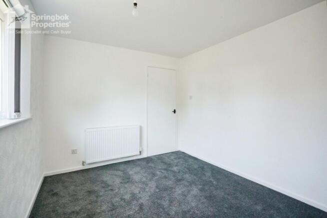 IMAGE 7