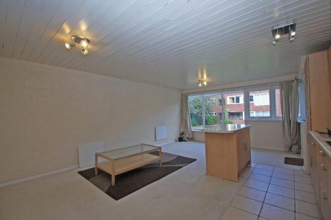 Living Room/Kitchen