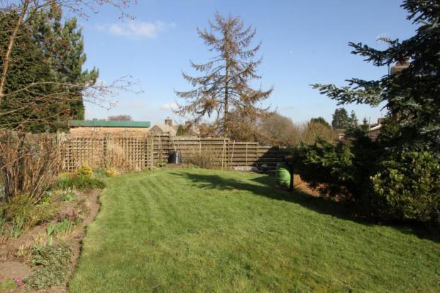 Garden 3