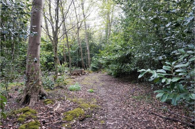 Woodland