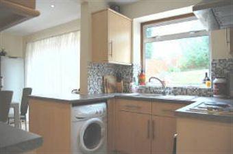 Kitchen area view 2