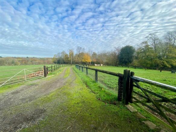 Drive Top & Paddock.jpg