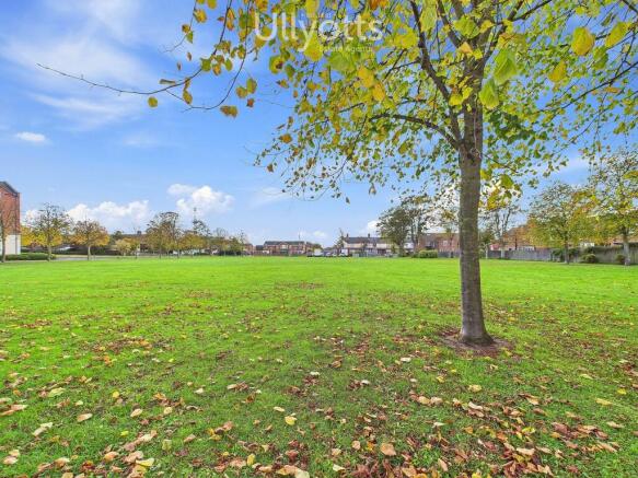 View from Propert...