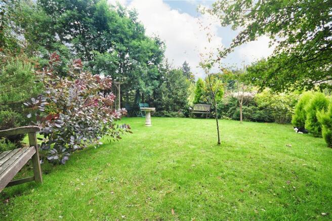 Side Garden