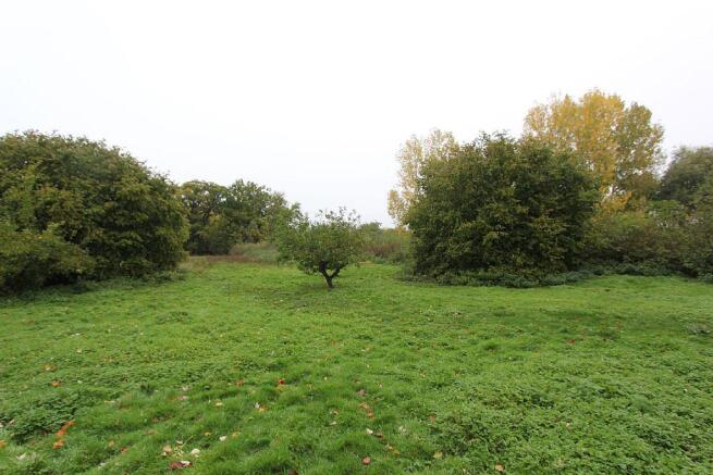 Grounds