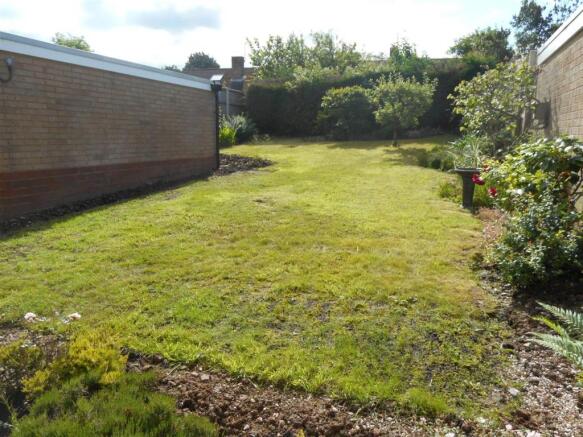 rear garden 1.JPG