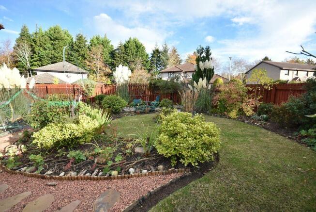 garden 4 .JPG
