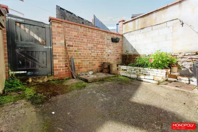 Back Yard.jpg