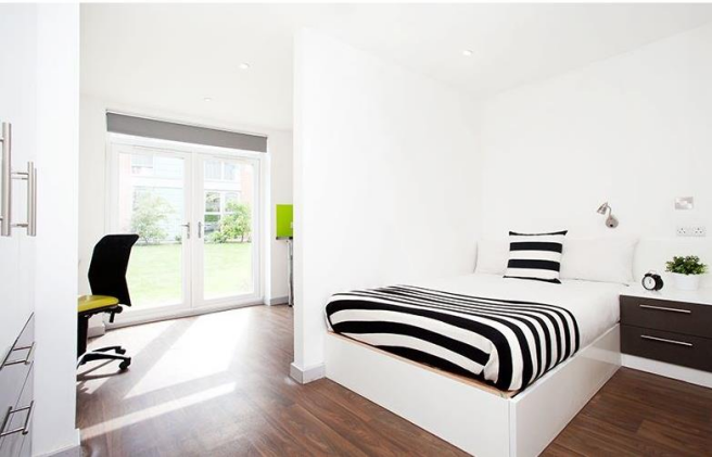 Studio to rent Image 5