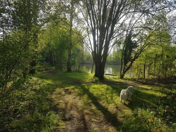 Local Walk