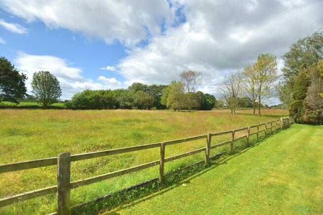 Field