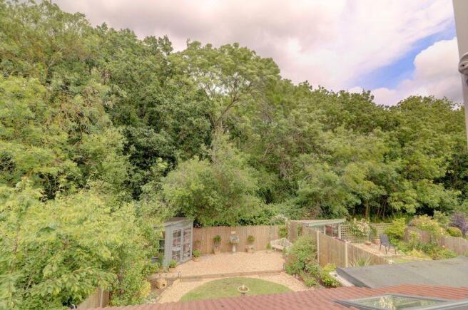 Woodland view