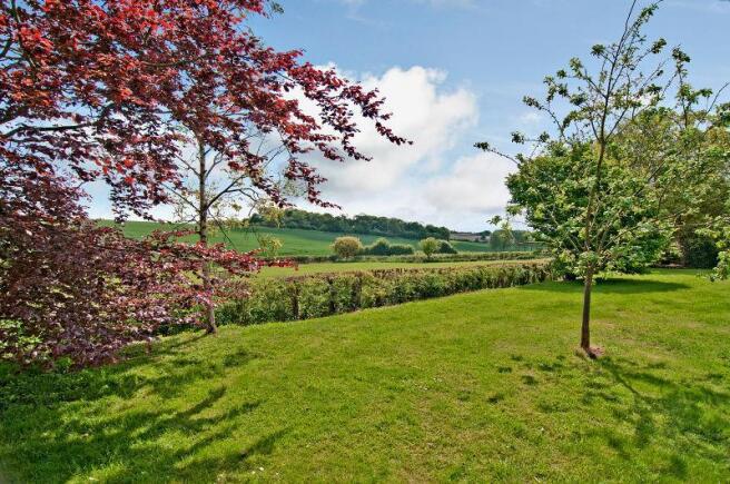 Garden & View