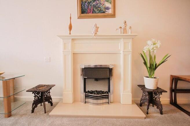 Feature Fireplace