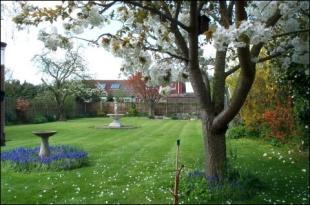 Garden View 1