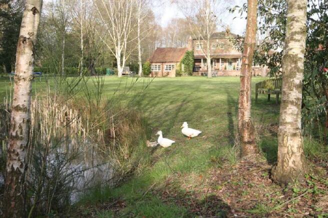 house and duckpond