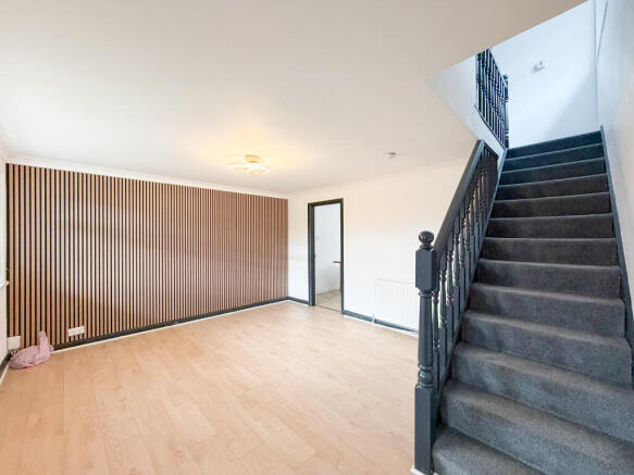 C.jpg
