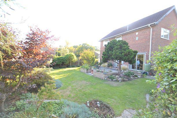 Rear of Property