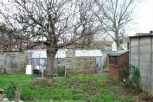 Front & Side Garden