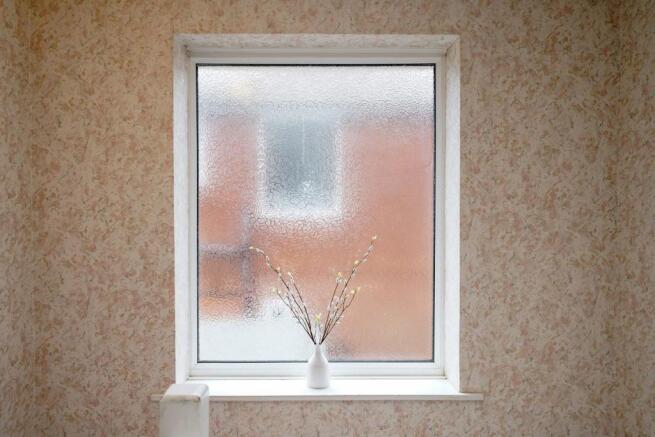 Photograph 15