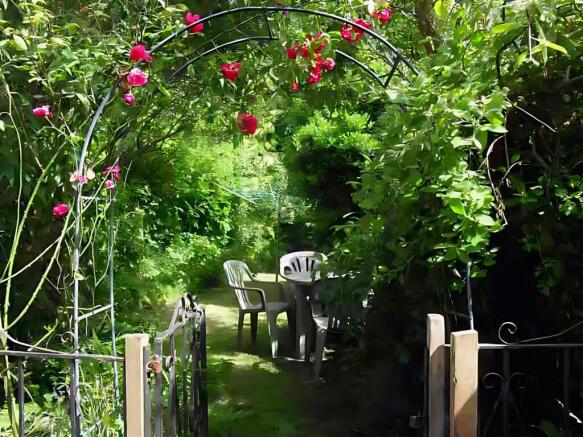 65S Garden roses.jpg