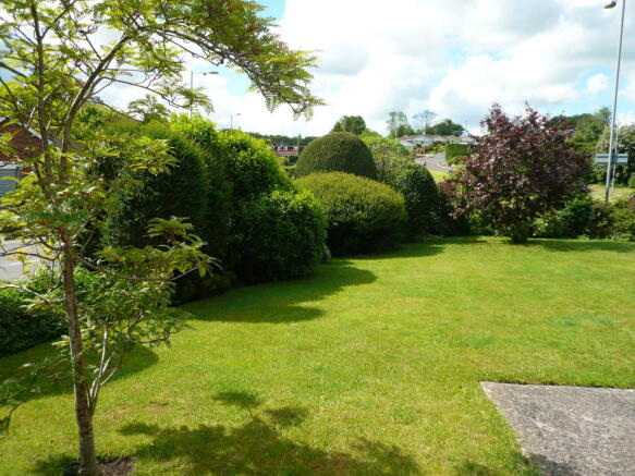 Photo 10