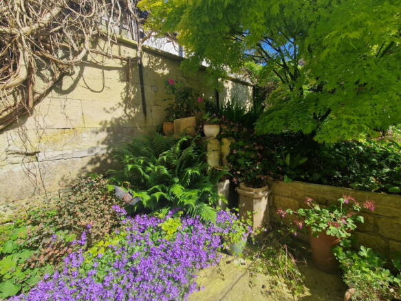 Photo 24