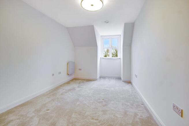 a room with a carpet and windows