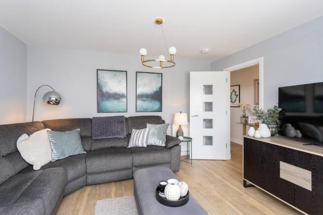 MFL8252155_523.jpg
