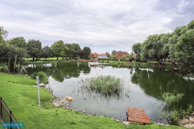 Pond - Front