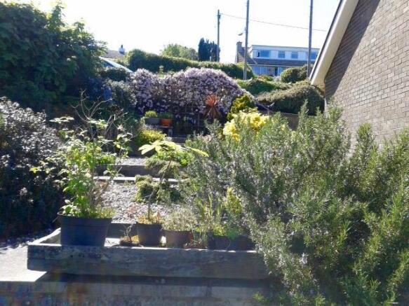 SIDE GARDEN