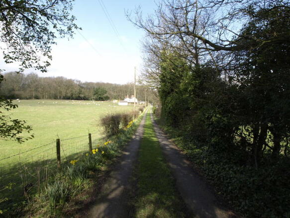 Lane