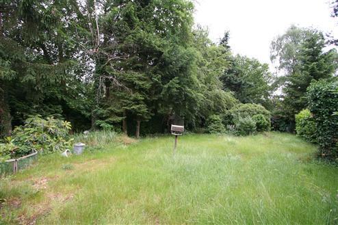 Rear Garden Alternate