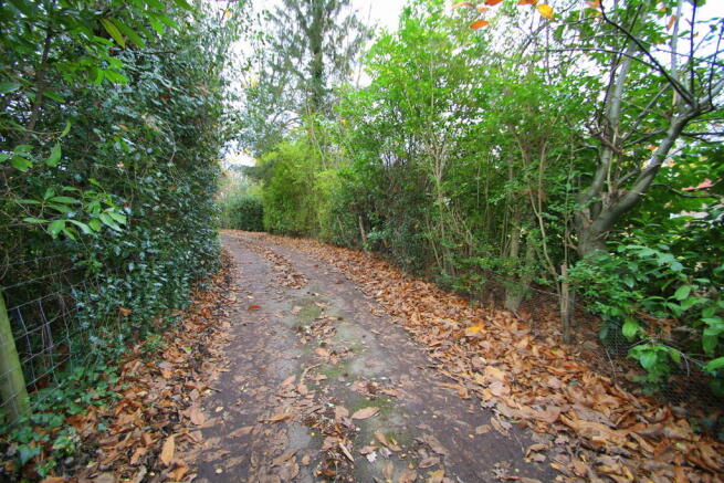 Driveway