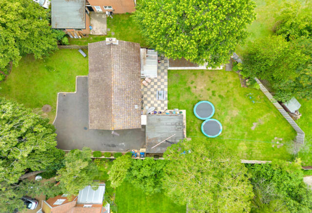 Birds Eye