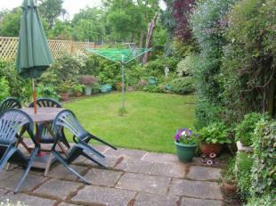 Rear Garden 3