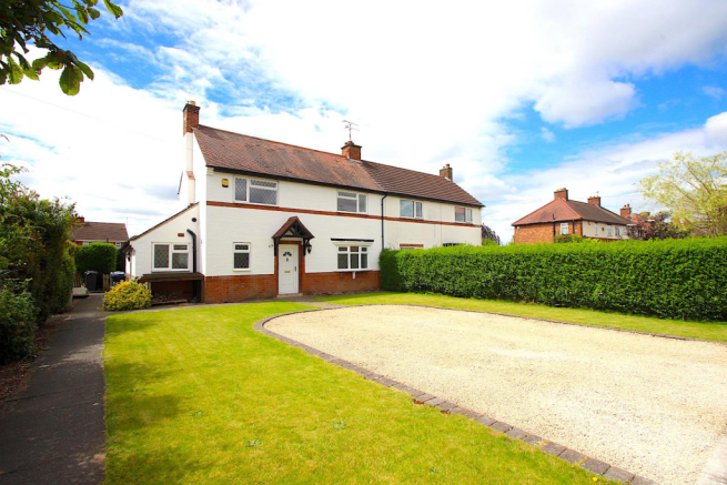 Plot View