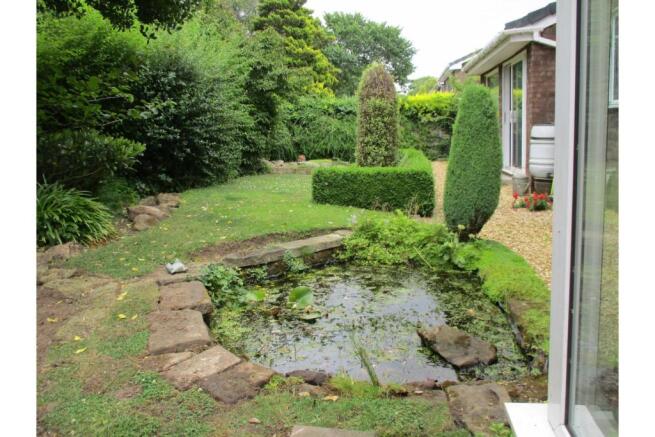 Pond
