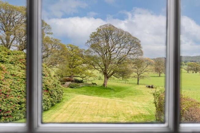 Views from Bedroom