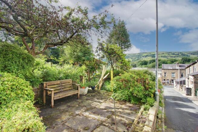 Back Garden